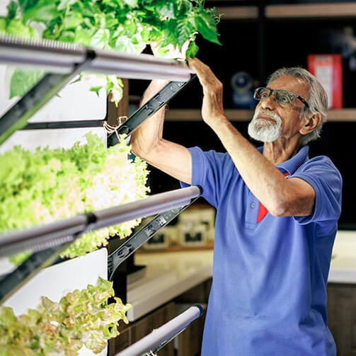 a man taking vegetables from a stand