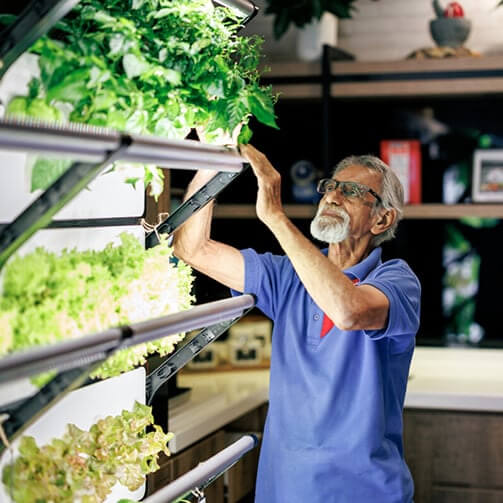 older man working by plants