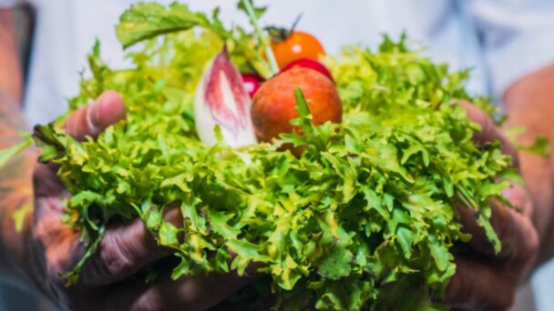 person holding fresh vegetables