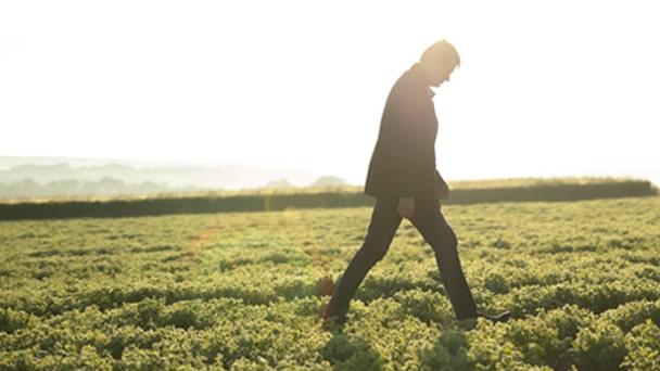 person walking in the field