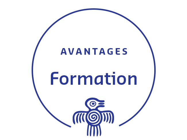 Graphique circulaire avec un oiseau stylisé et le texte Avantages : Formation.