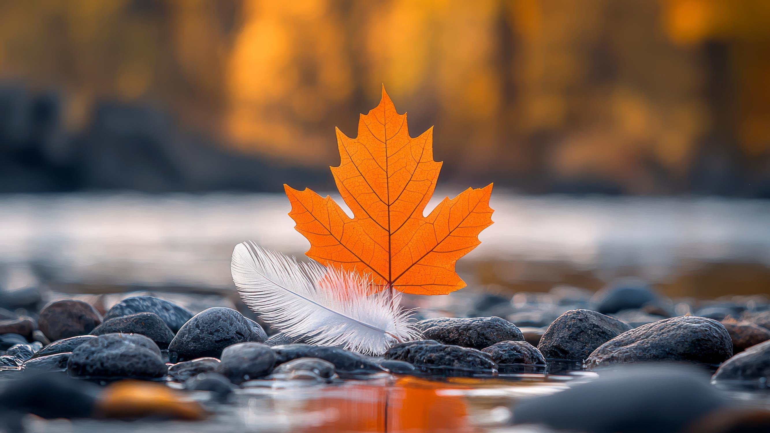 Sodexo Canada Better Tomorrow Report 2024-25