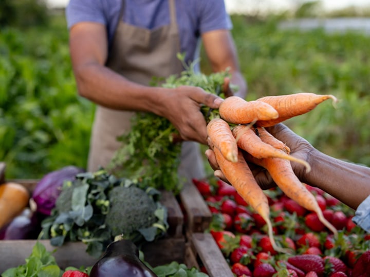 person delivering carrots