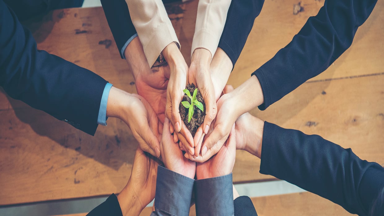 développement durable