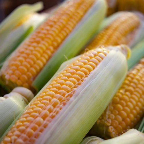 maiz_sodexo_colombia