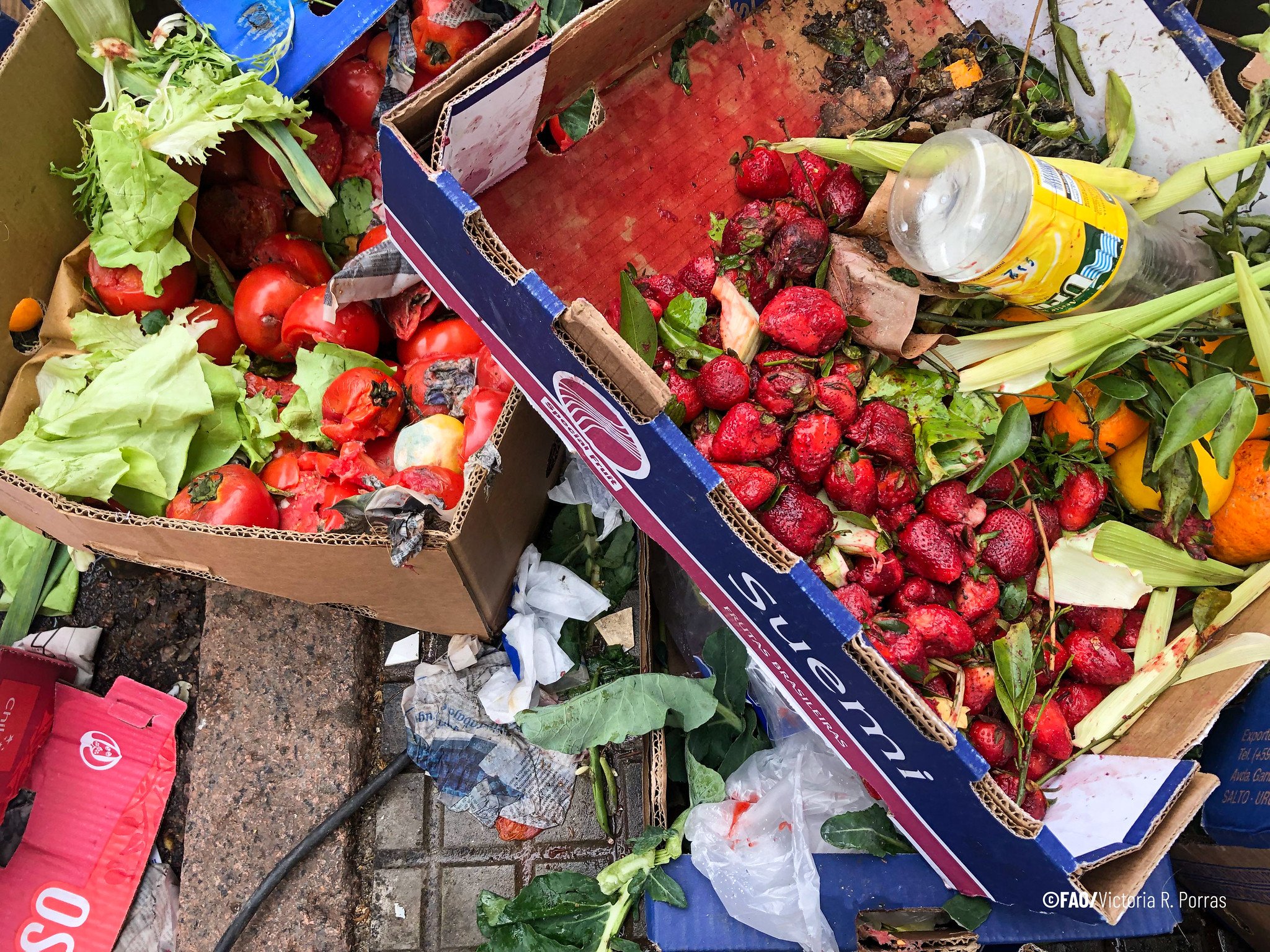 perdida_y_desperdicio_alimentos_FAO
