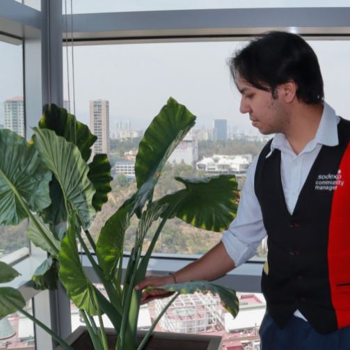 Servicios_Gestion_Instalaciones