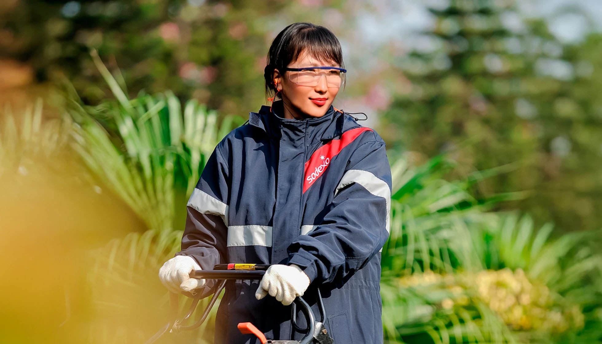 servicios de jardinería