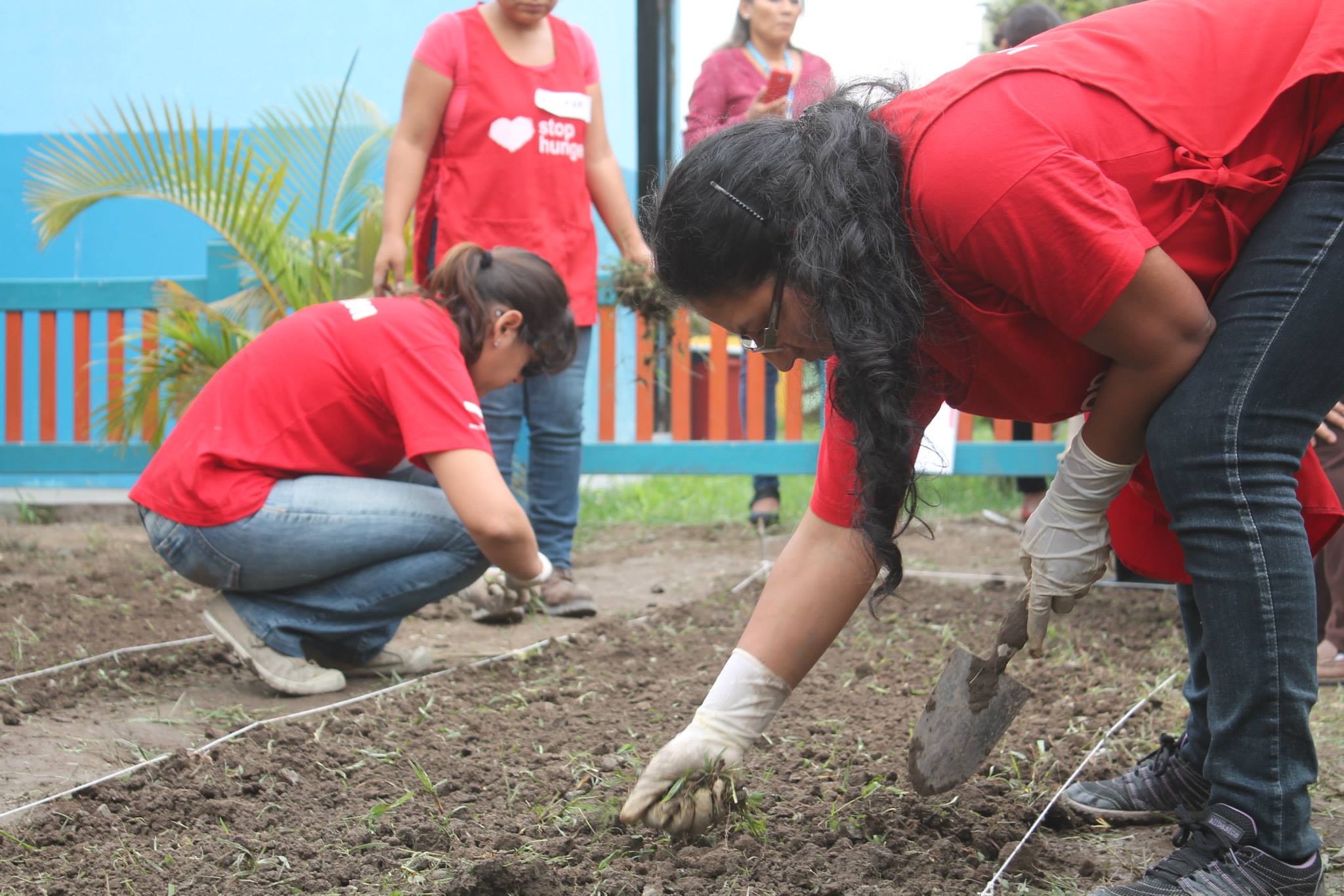 Servathon2015_Perou5