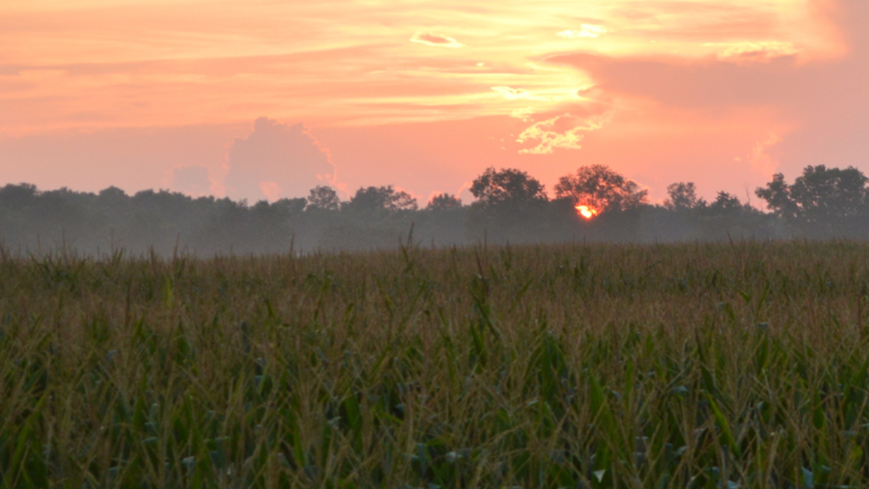 a landscape picture