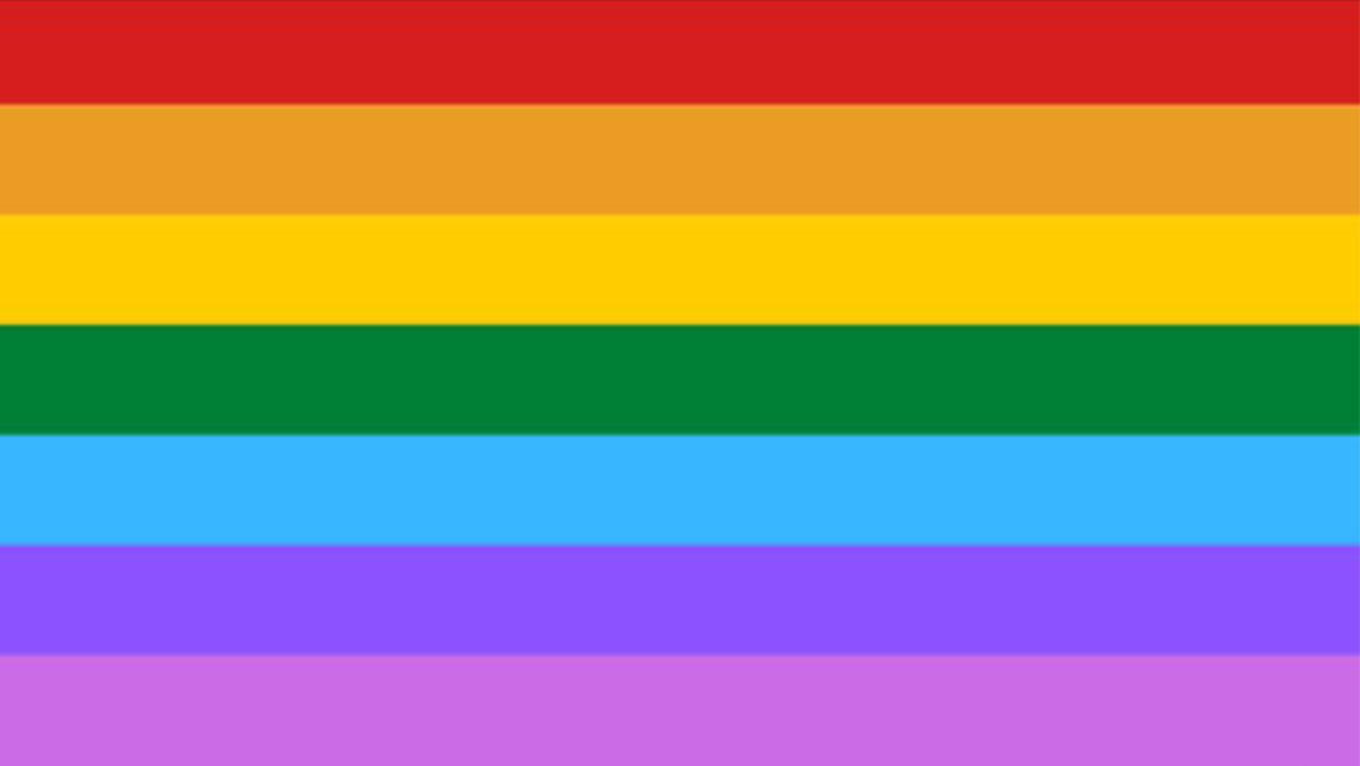 lgbtq flag