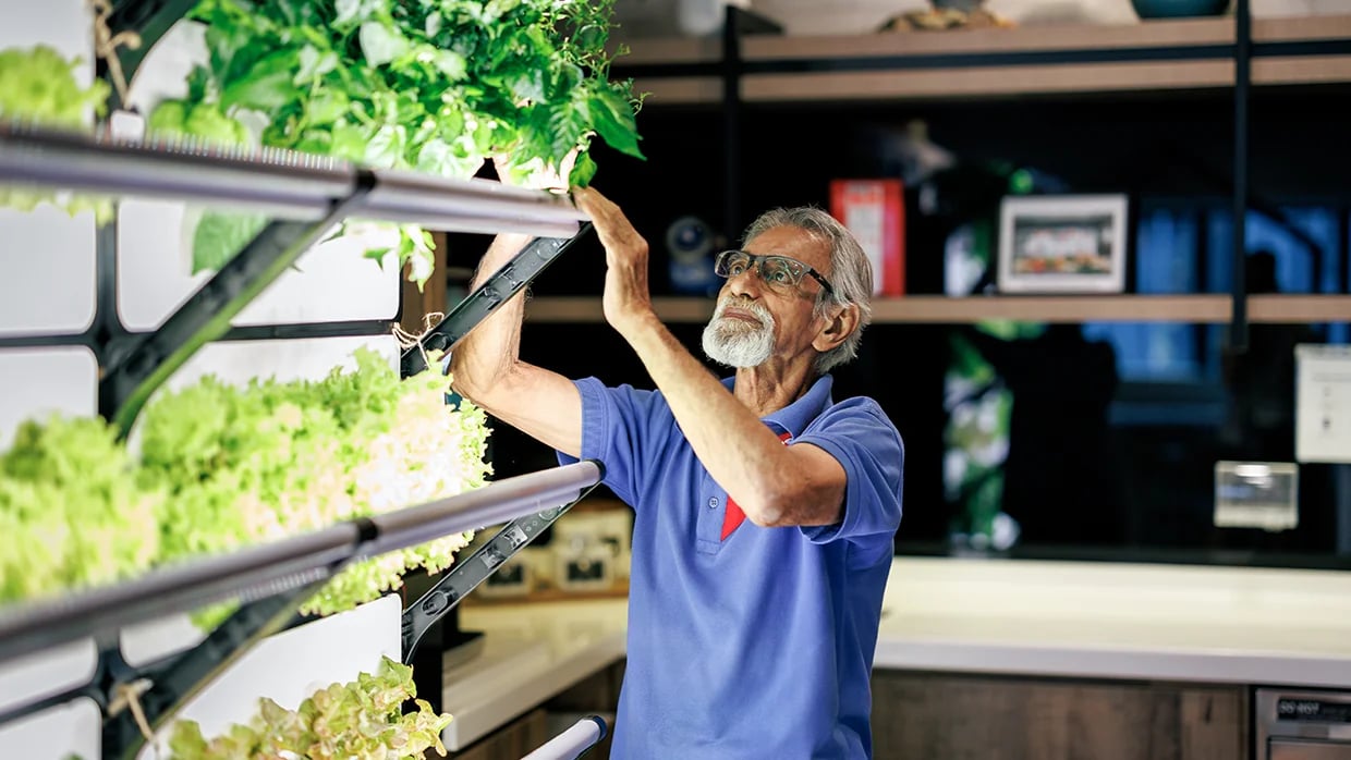 Man in blue Sodexo shirt tends to vertical garden with leafy greens in modern indoor space.