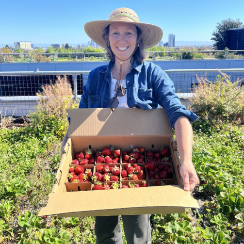 A woman stands in front of a solar farm, holding a box of fresh strawberries, showcasing sustainable agriculture and energy.