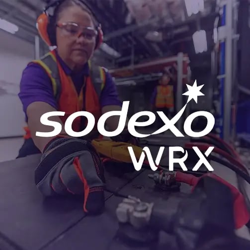 bi-wrx-503x503