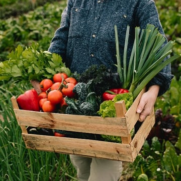 Farmer holding a wooden crate of fresh vegetables in a field, representing local farm partnerships.