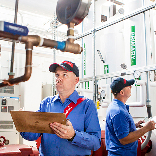 workers in a factory