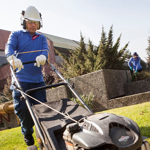 Grounds maintenance team member operating a lawn mower on a landscaped campus lawn, with another crew member working nearby among shrubs and outdoor facility grounds.