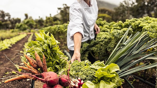 someone taking food from a farm