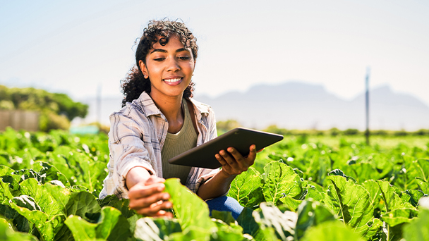 woman at farm checking harvest