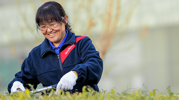 planter woman cutting plants