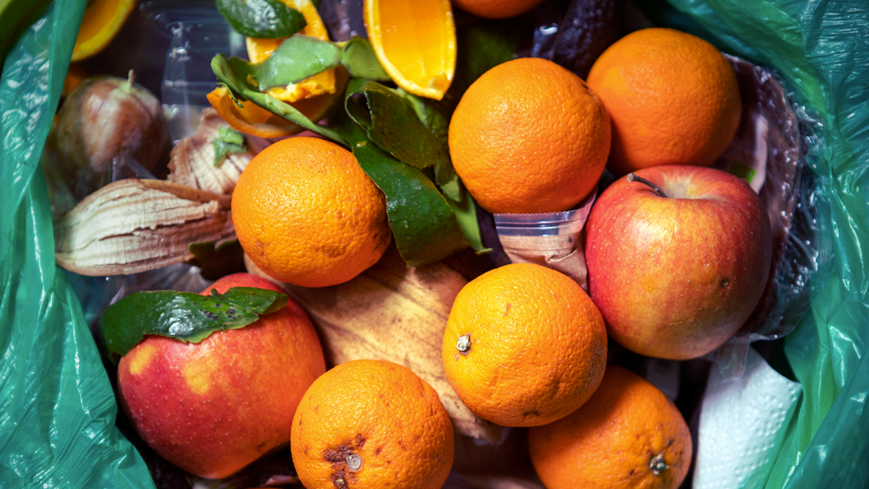 fruits in a trash