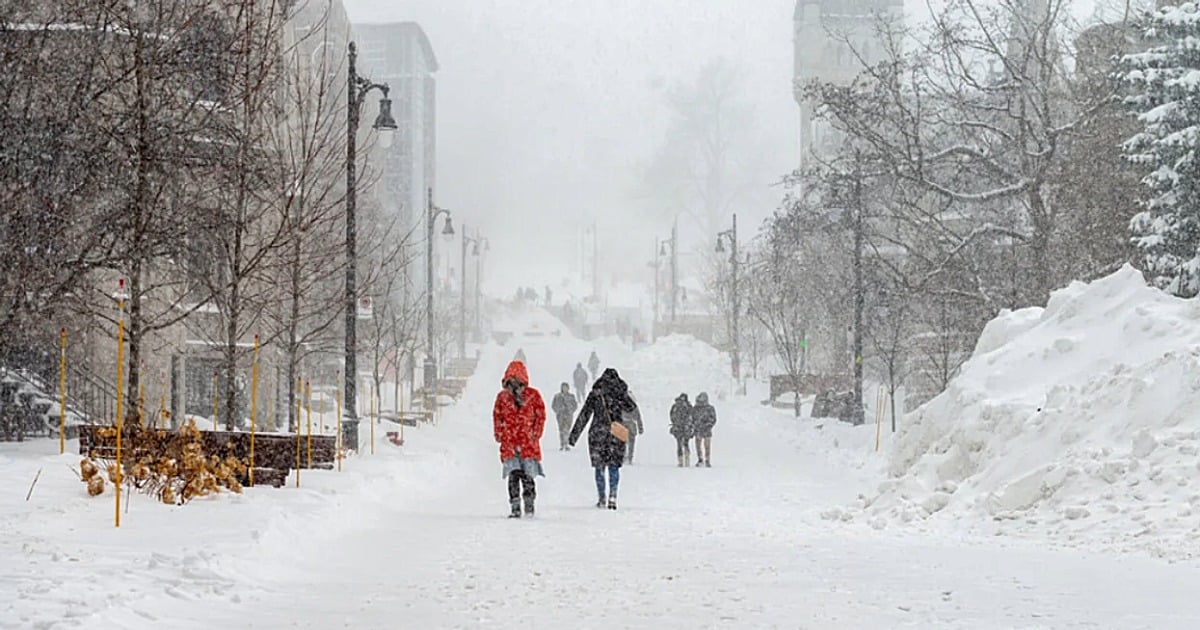 People walking through a winter snowstorm. 