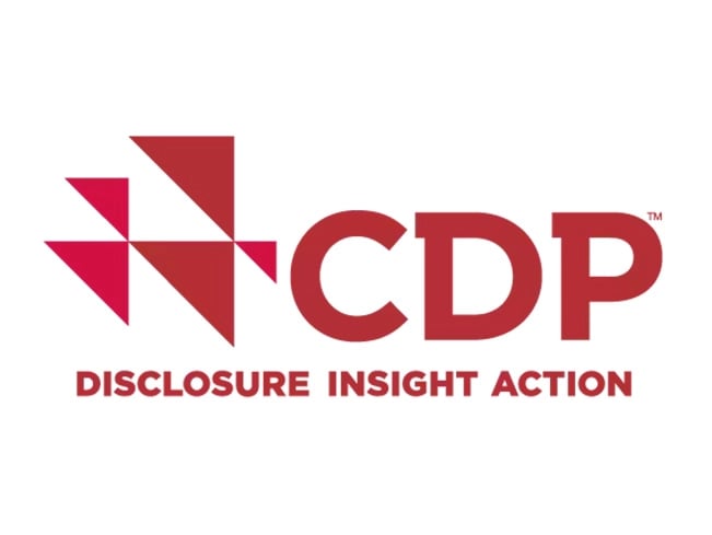 CDP disclosure insight action graphic.