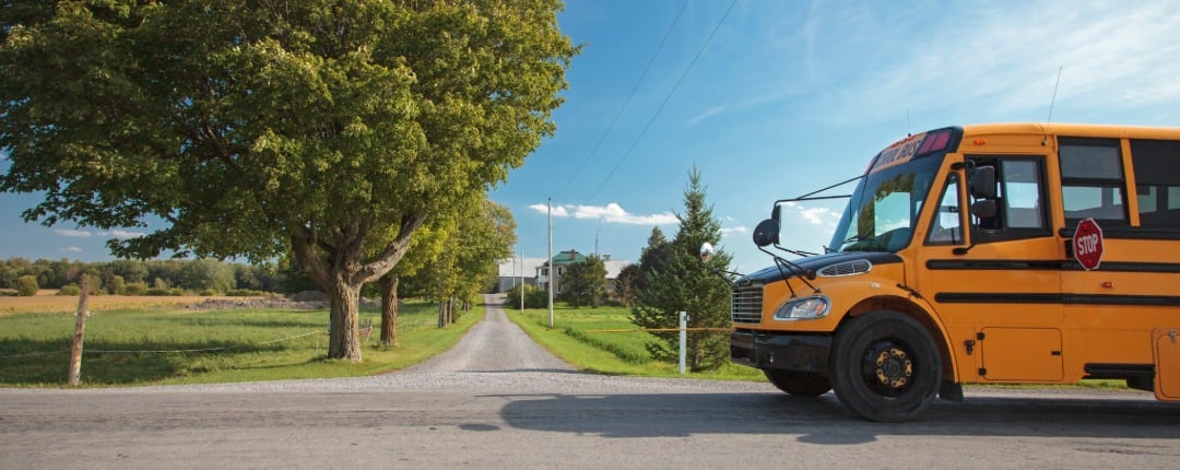 School bus parked along a rural road lined with trees under a clear blue sky. 