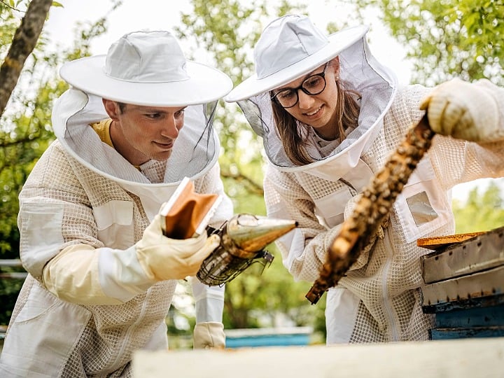 Two students wearing beekeeping suits participating in a hands-on outdoor experience with a beehive.