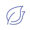 leaves line icon