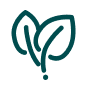 Green outline icon of two overlapping leaves symbolizing freshness or plant-based food