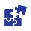 solution icon