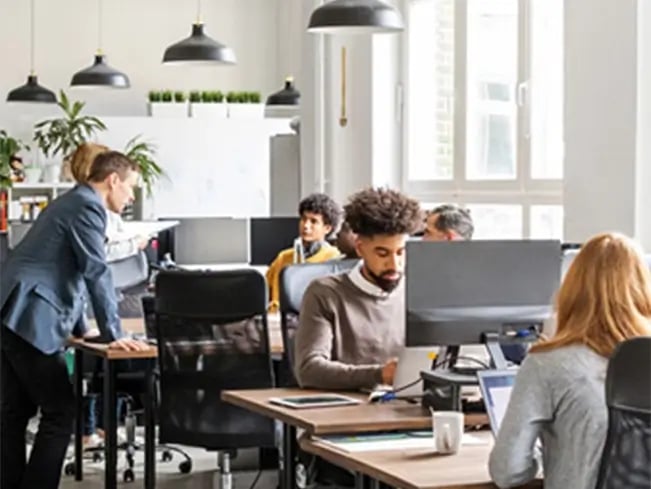 Colleagues working at desks in a sunlit, plant-filled office with computers, notebooks, coffee mugs and pendant lights.