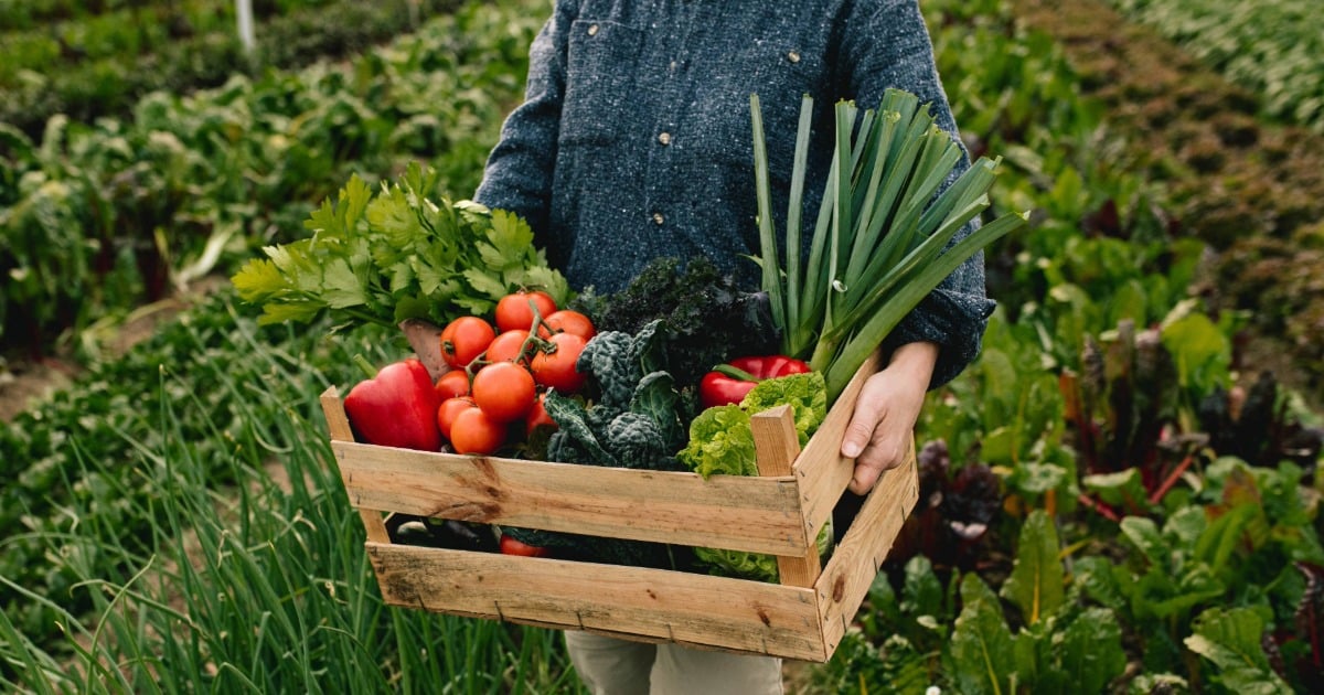Farmer holding a wooden crate of fresh vegetables in a field, representing local farm partnerships.
