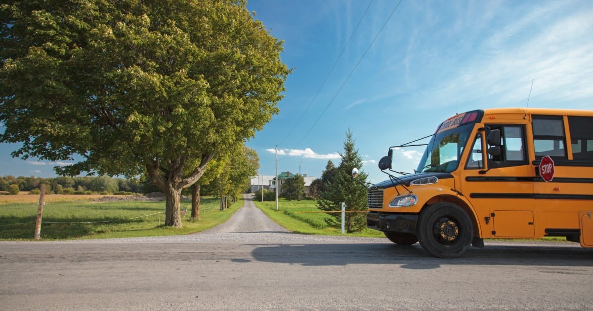School bus parked along a rural road lined with trees under a clear blue sky.