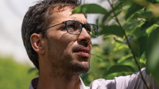 Person wearing glasses examining leaves on a plant outdoors in a green natural setting