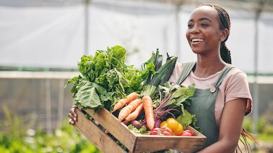 Person holding a crate of freshly harvested vegetables in a greenhouse or garden setting.