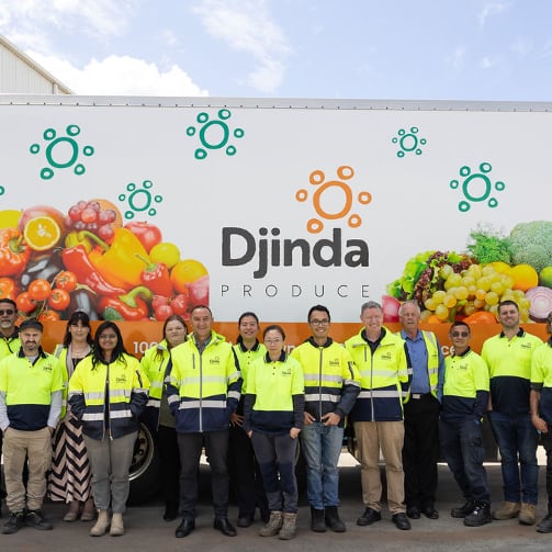 Djinda-case-study