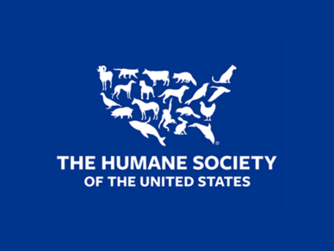 22-human-society