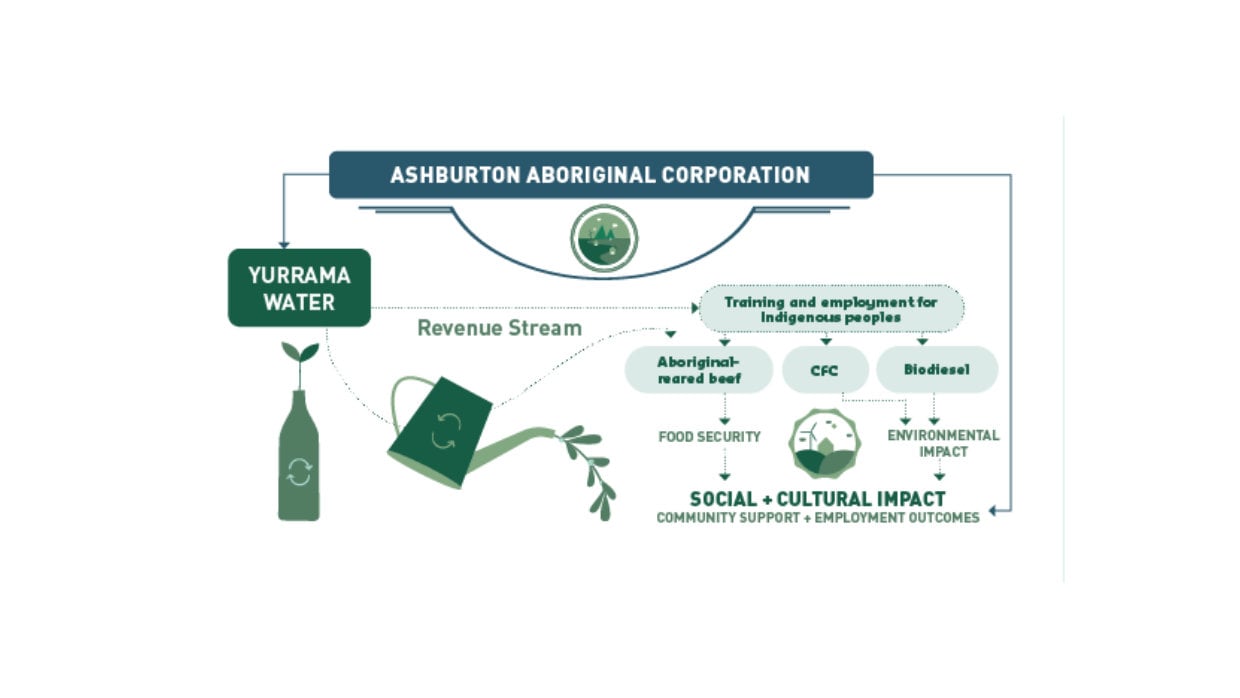 aac-infographic