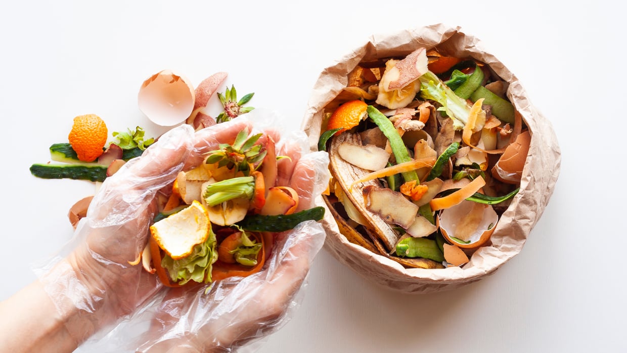 food-waste-reduction-sustainable-recycling-circular-economy