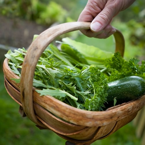 fresh-seasonal-vegetables-basket-garden-harvest