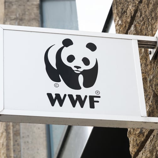 wwf-partnership-sustainable-supply-chain-deforestation