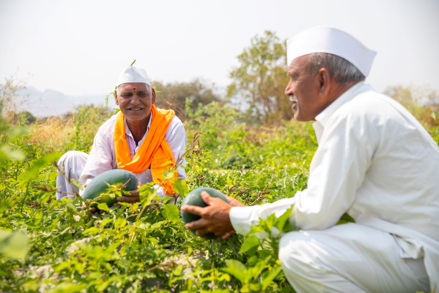 kisaan-cr-banner