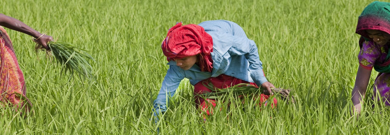 Growing Responsibly_Banner
