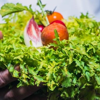 sustainable_sourcing_CSR_608x342