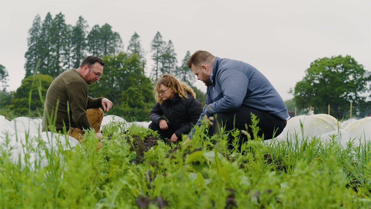 catering-sustainable-farming