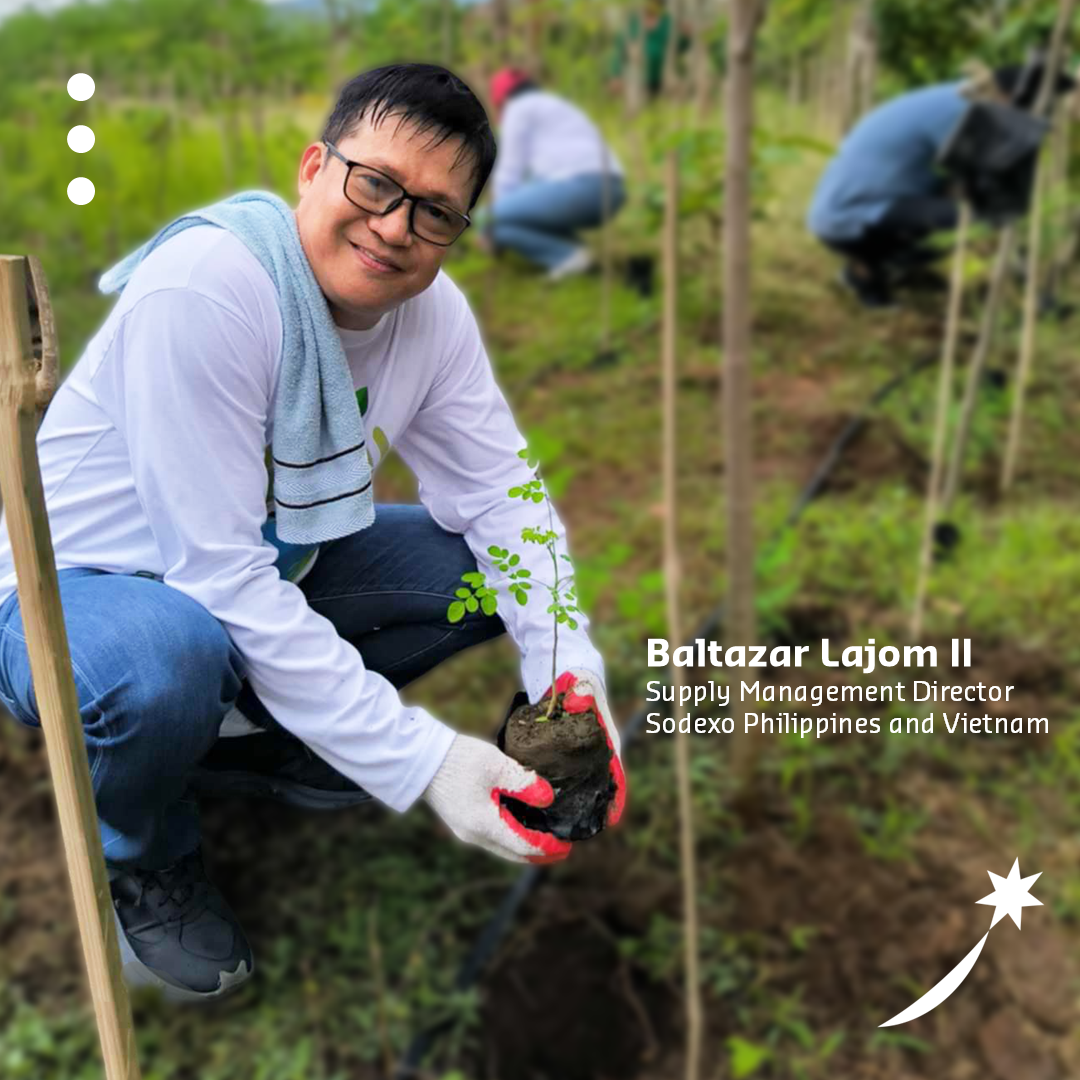 Tree Planting