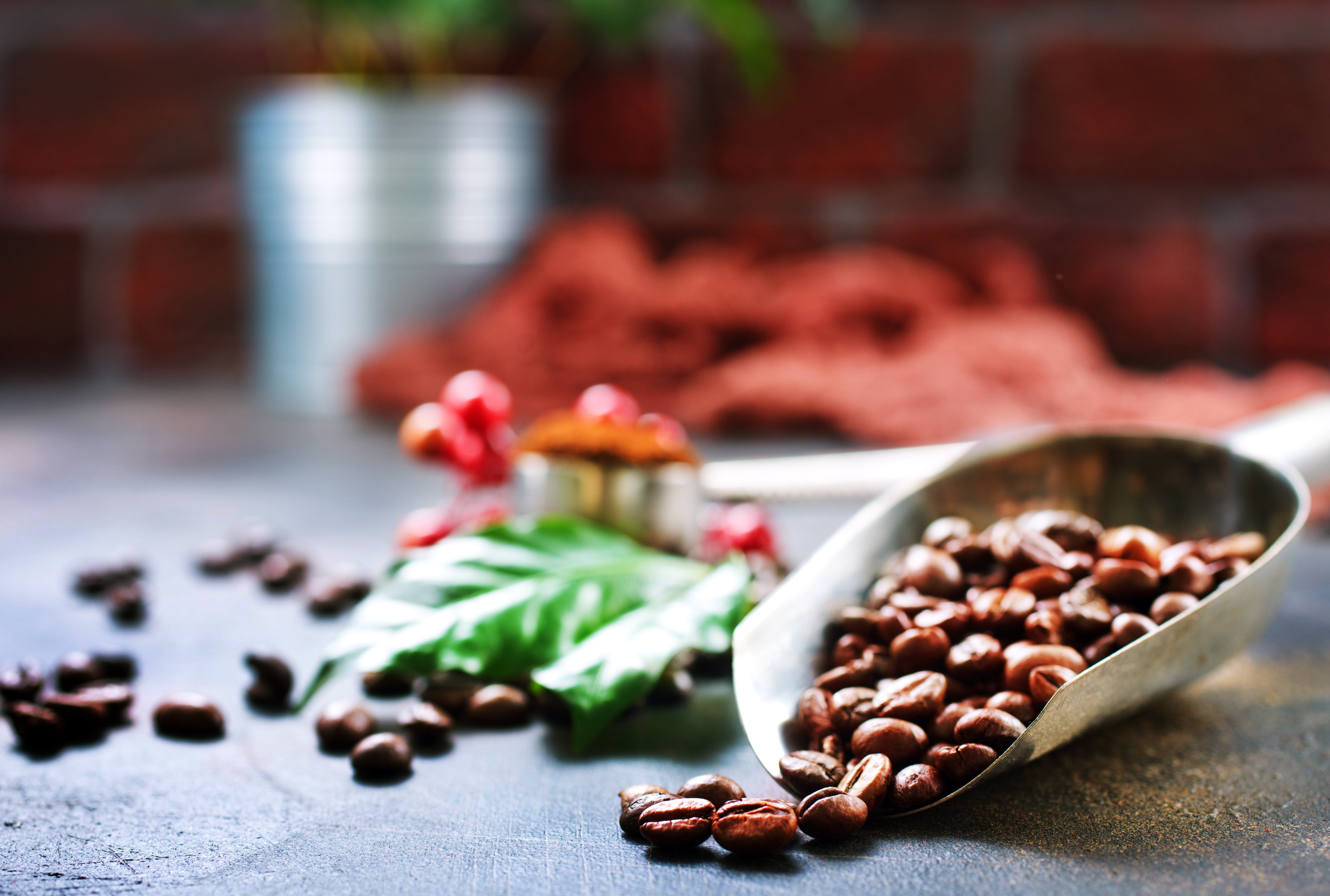 coffee-beans-2023-11-27-05-11-41-utc