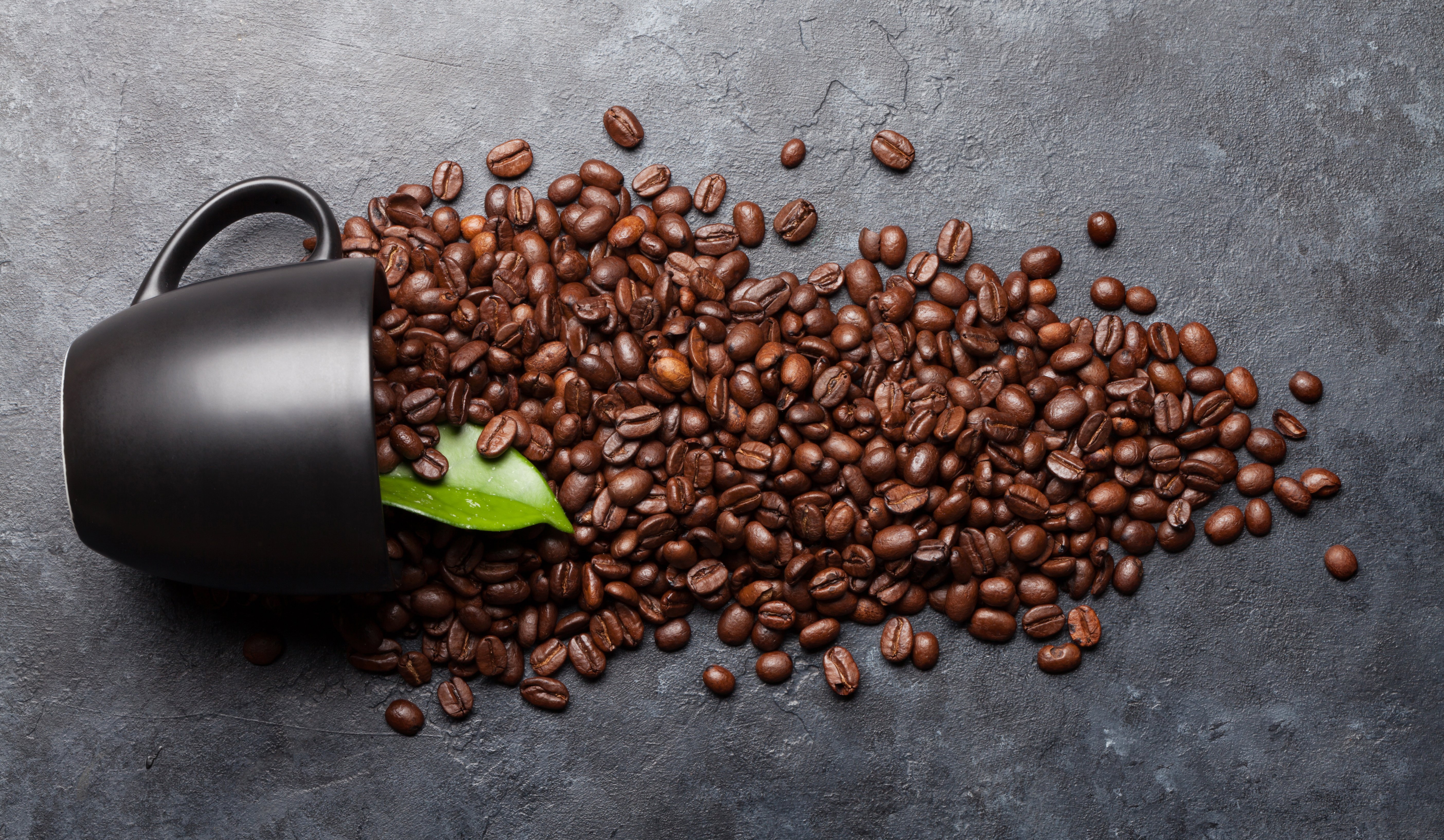 coffee-cup-with-roasted-beans-2023-11-27-05-15-32-utc